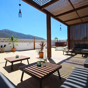 book here